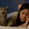猫　うるさい　寝れない